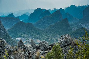 高中生物知识点总复习