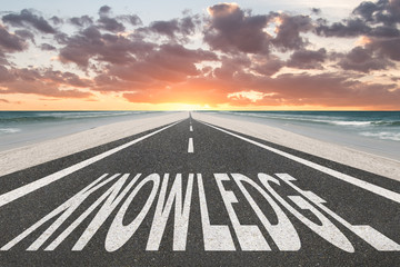 关于菩提树下唯美句子集锦60句