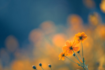 《哆啦A梦》的口袋到底有多大？