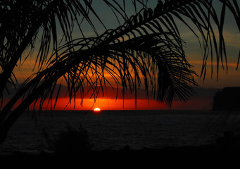 广州的长隆飞鸟乐园值得带孩子去吗？