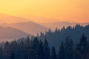 推荐一本关于数学的书适合小学一年级的小朋友