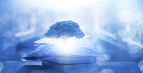 关于菩提树下唯美句子集锦60句