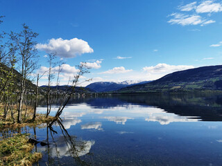 推荐一本关于数学的书适合小学一年级的小朋友