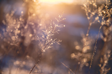 广州的长隆飞鸟乐园值得带孩子去吗？