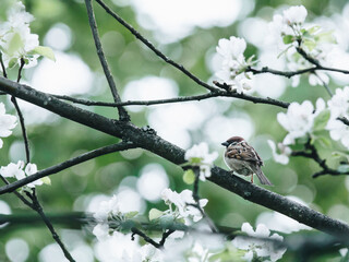 推荐一本关于数学的书适合小学一年级的小朋友