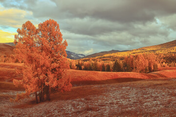心理学对我们的生活有帮助吗？
