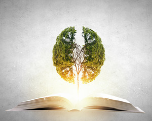 广州的长隆飞鸟乐园值得带孩子去吗？