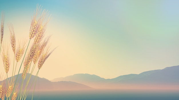 生活中的气象小知识？