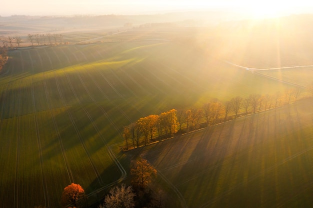 北京故宫的导游词