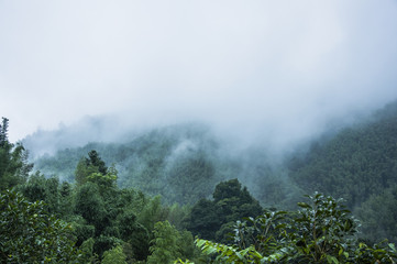 为什么说天下董姓是一家